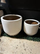 ANDERS PLANTER