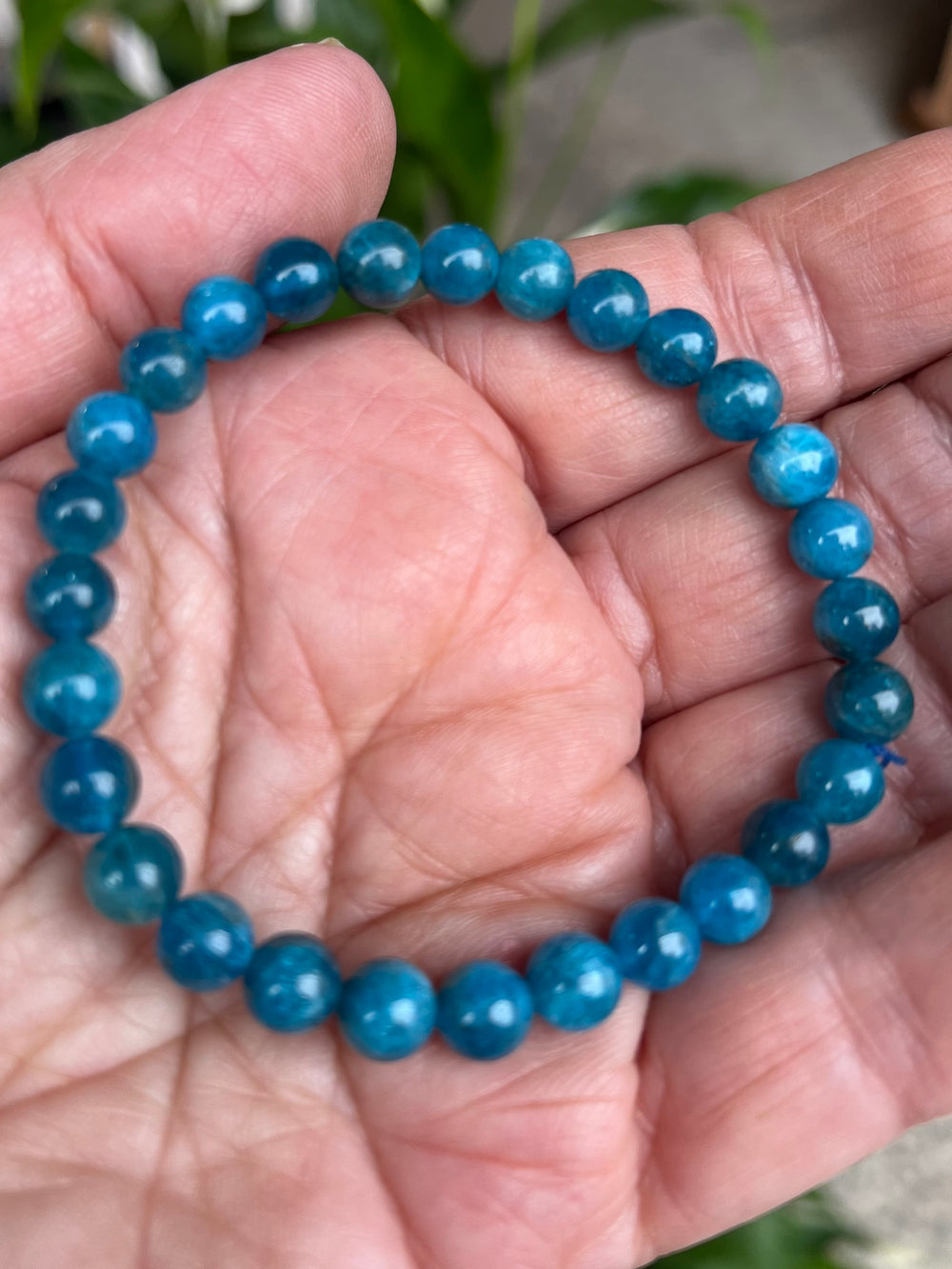 Natural Blue Apatite Bracelet 6mm