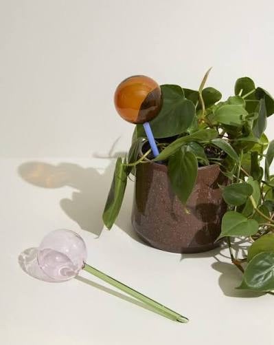 Self Watering Globe