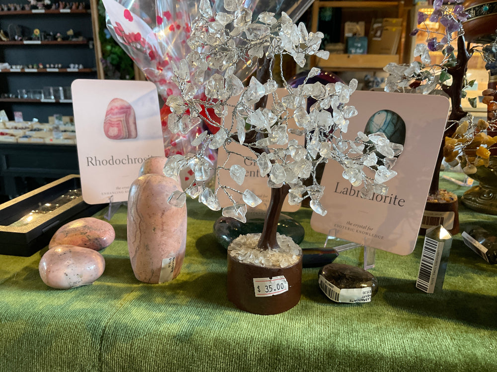 Clear Quartz Crystal Tree