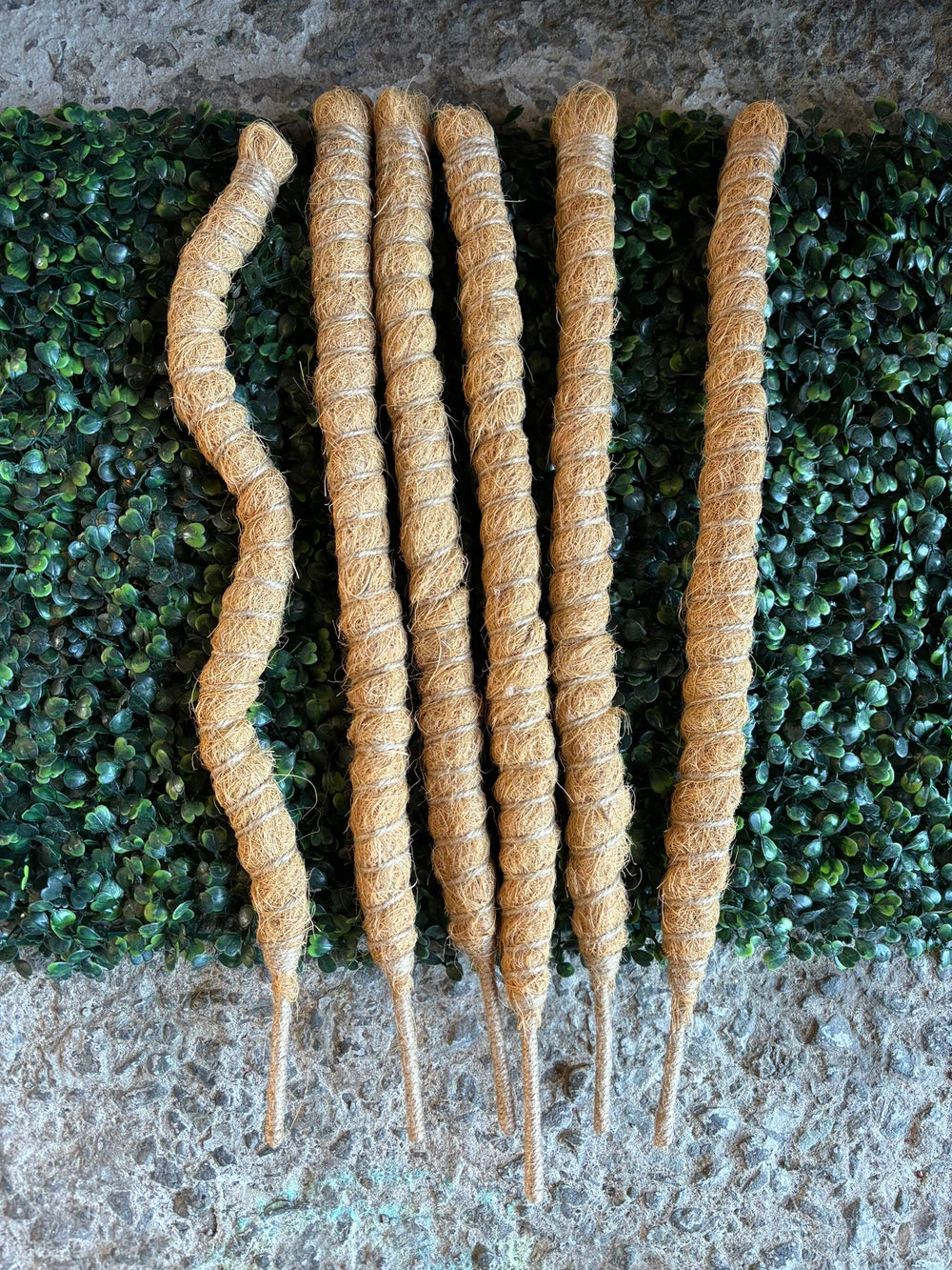 Bendable Plant Pole 50cm