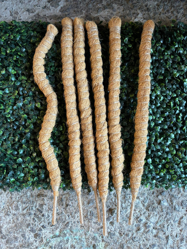 Bendable Plant Pole 50cm