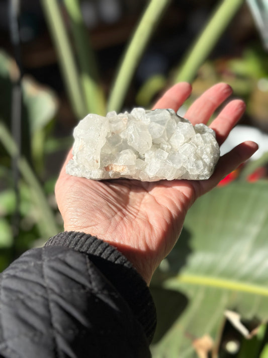 APOPHYLLITE CLUSTER