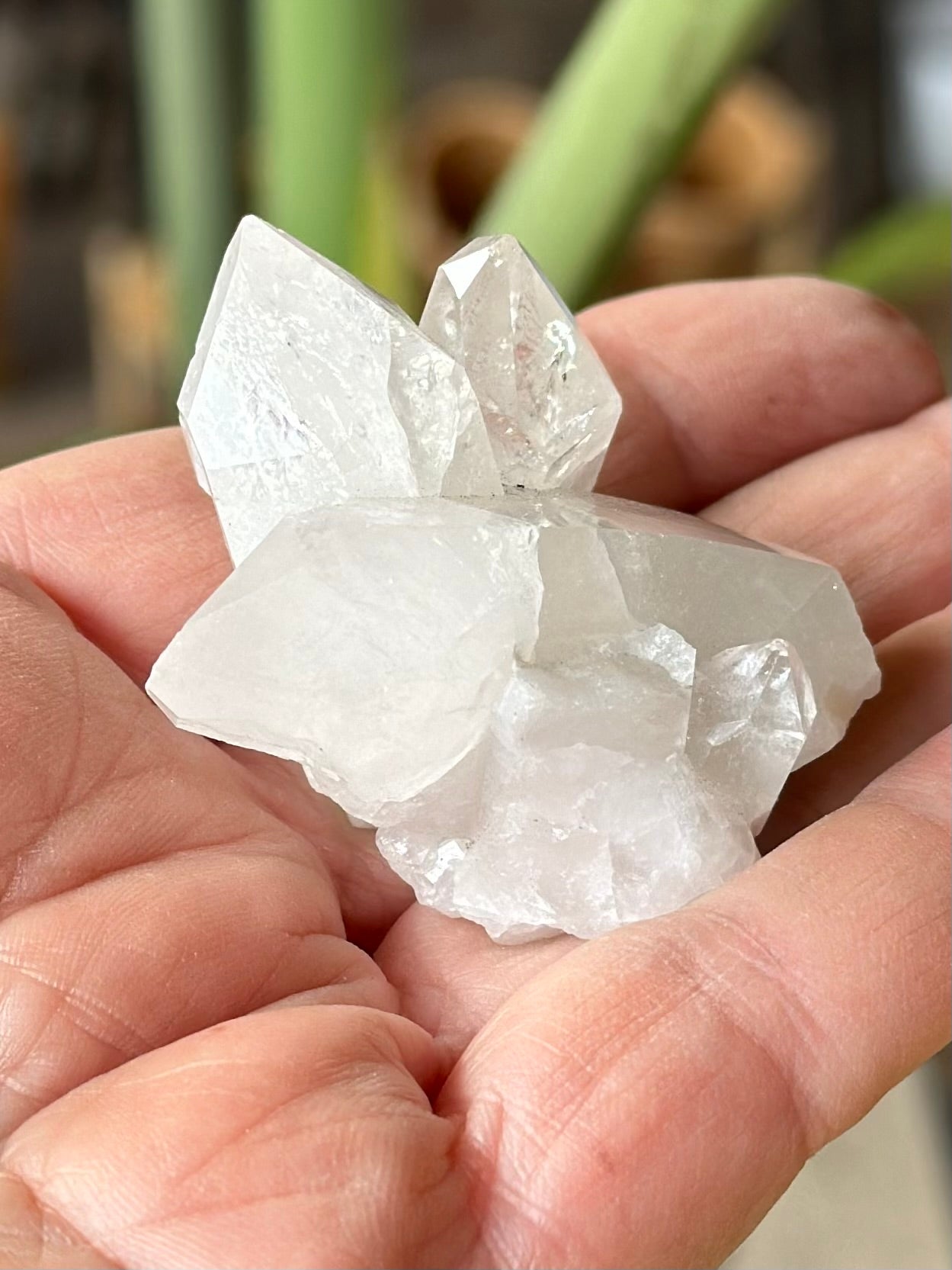 CLEAR QUARTZ  CLUSTER