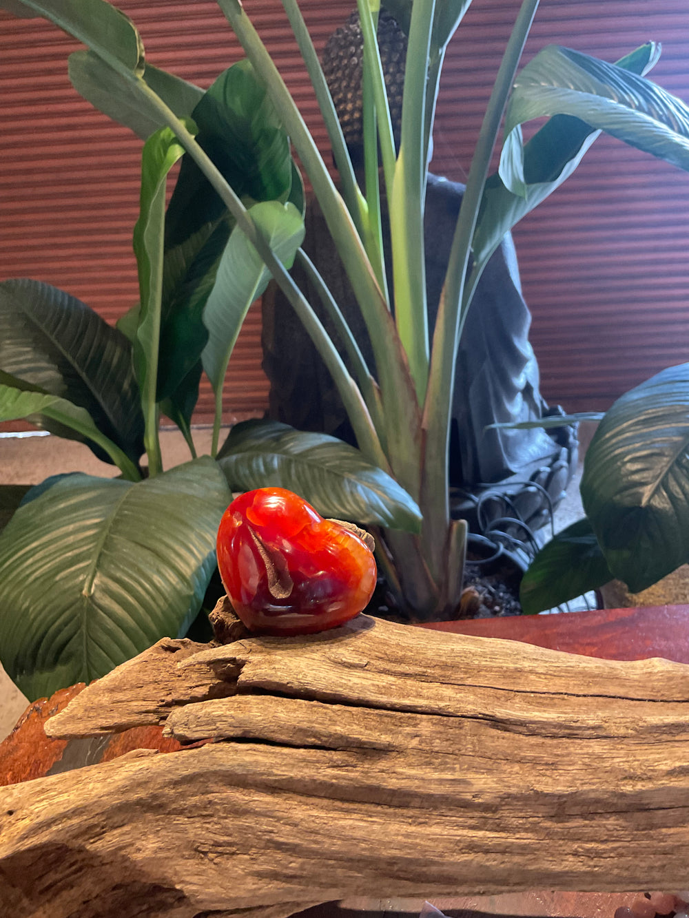 Petrified Wood Red Heart