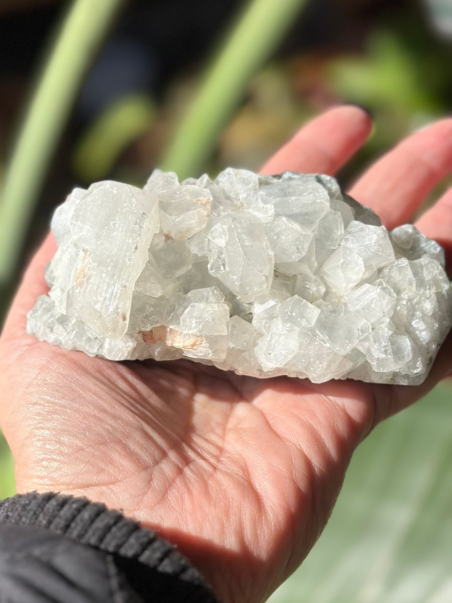 APOPHYLLITE CLUSTER