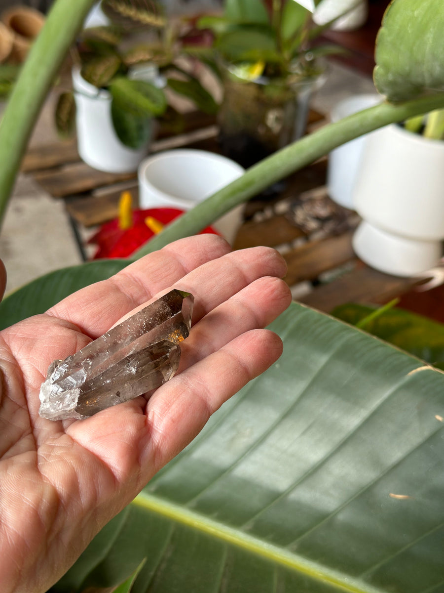 SMOKY QUARTZ ROUGH POINT CLUSTER 2