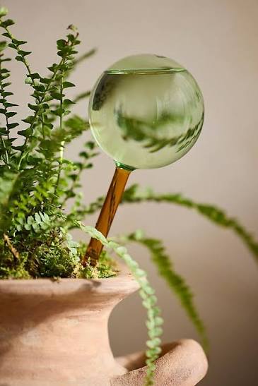 Self Watering Globe