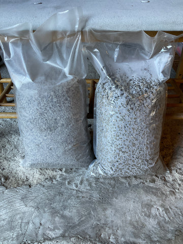 LARGE BAG OF PUMICE