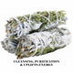 WHITE & JUNIPER SAGE 10CM