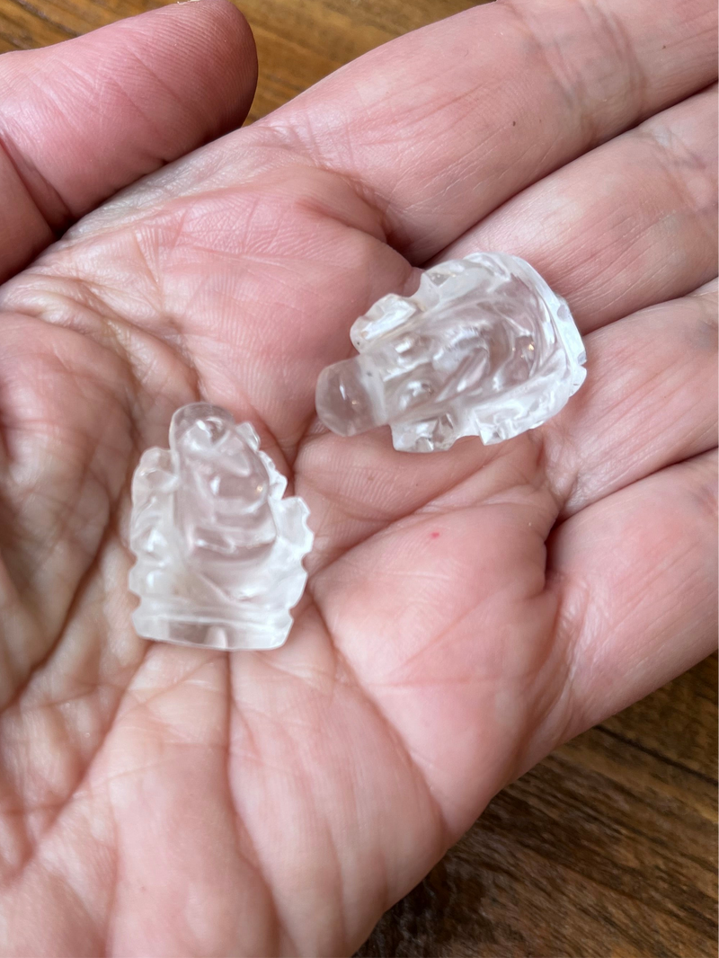 Mini Ganesh