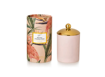 ECO CANDLE ROYAL FRANGIPANI