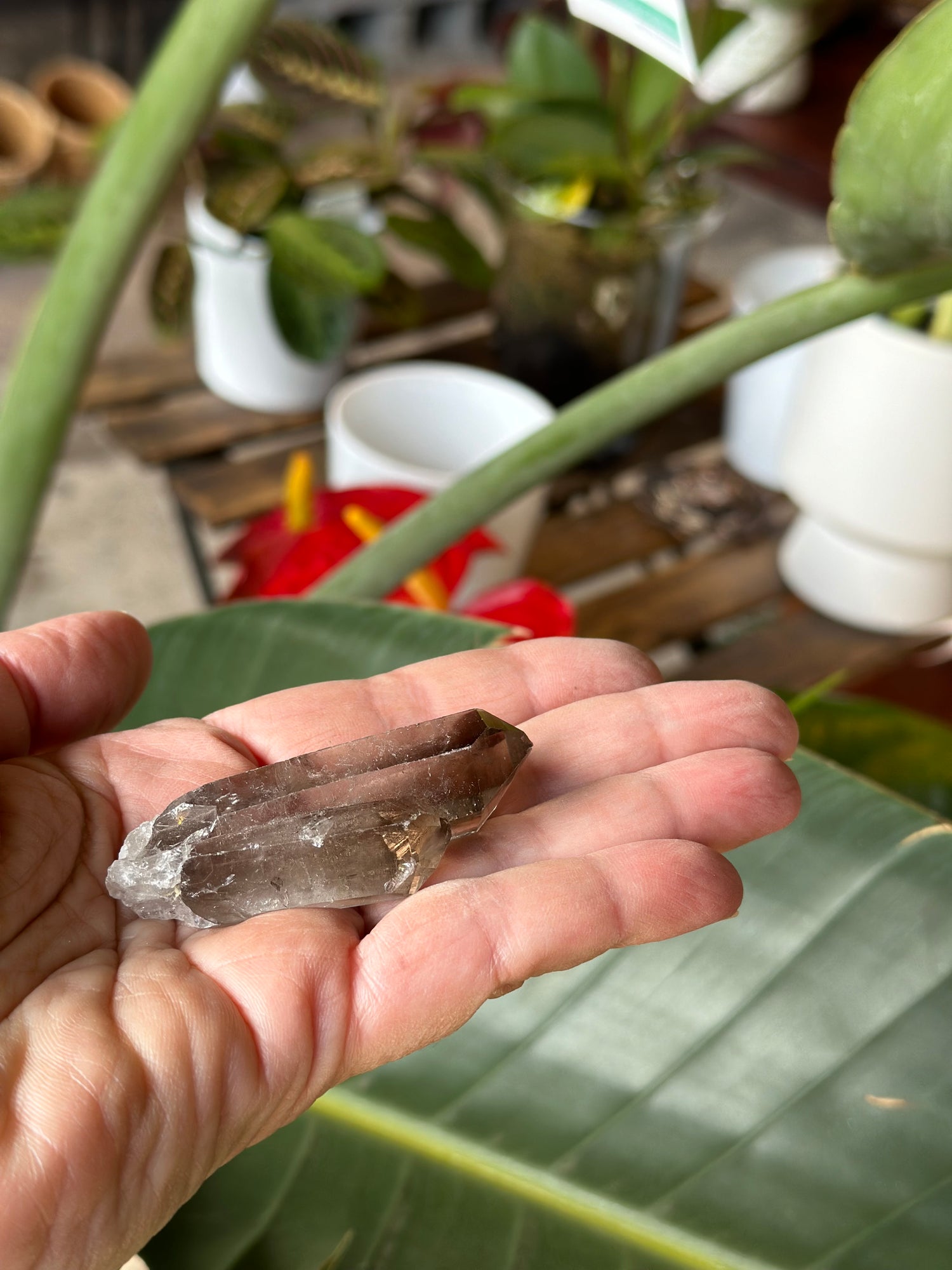 SMOKY QUARTZ ROUGH POINT CLUSTER 2