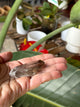 SMOKY QUARTZ ROUGH POINT CLUSTER 2