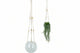 Glass hanging planter with a natural fiber strap on a white background
