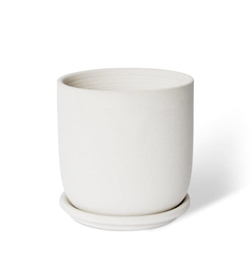 ALLEGRA POT W.SAUCER (White)