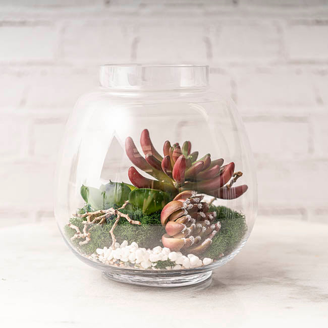 TERRARIUM BOWL