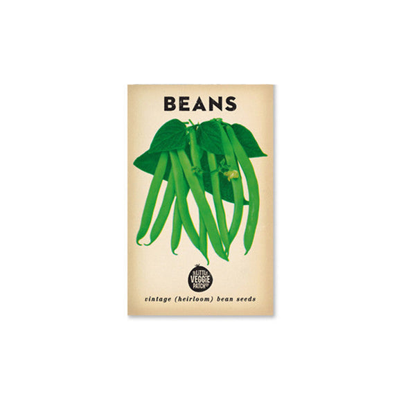 Heirloom Beans 'Windsor Long Pod' - Best Quality Seeds