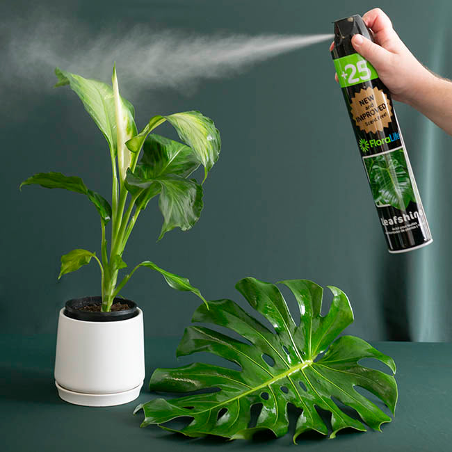 LEAF SHINE SPRAY