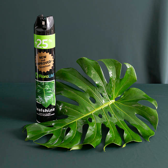 LEAF SHINE SPRAY