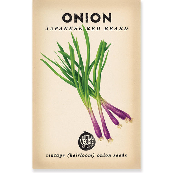Japanese Red Beard Onion Heirloom Seeds for Home Gardeners