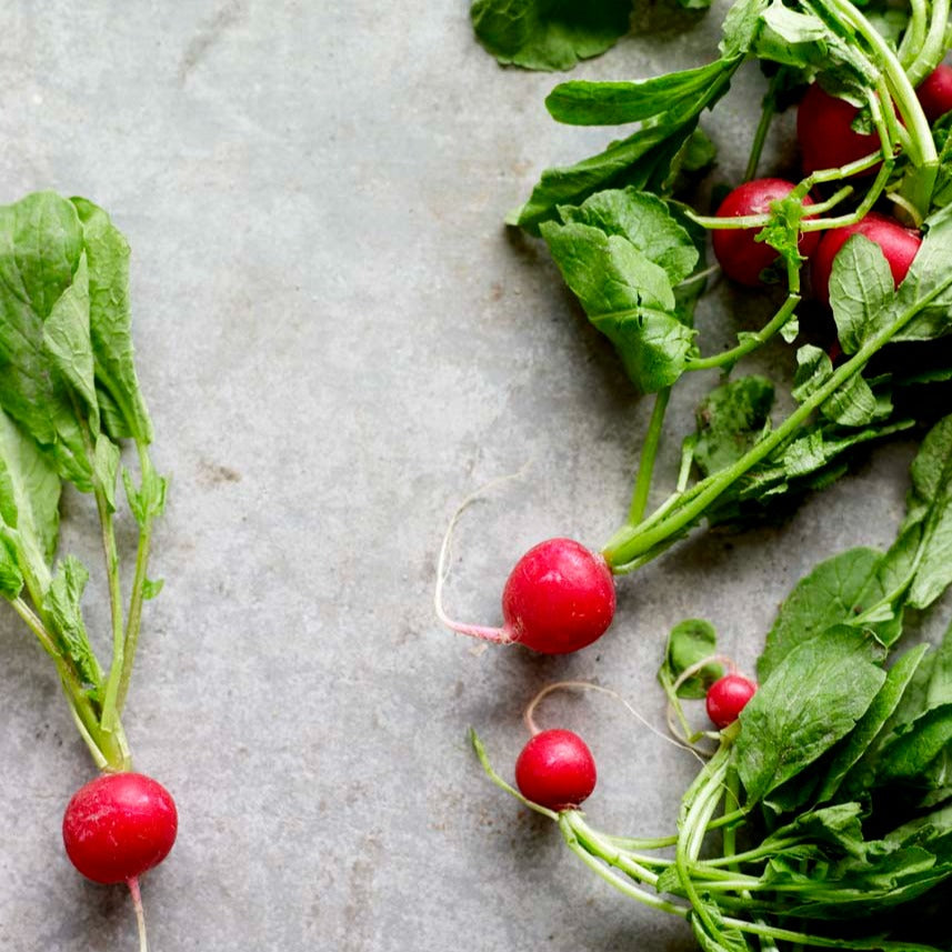 Cherry Belle Radish Heirloom Seeds - Crisp, Crunchy, and Flavorful