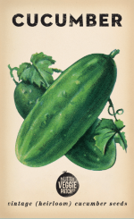 Richmond Green Heirloom Cucumber Seeds - Garden Fresh Delight