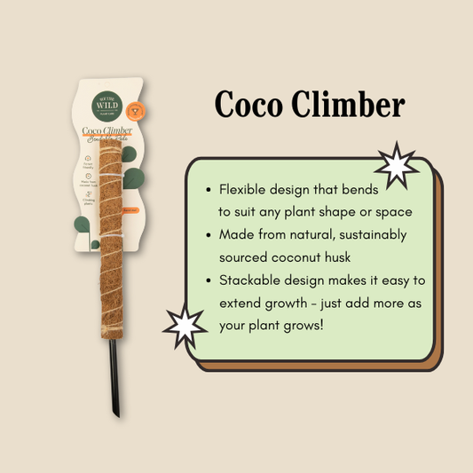 Coco Climber 16"