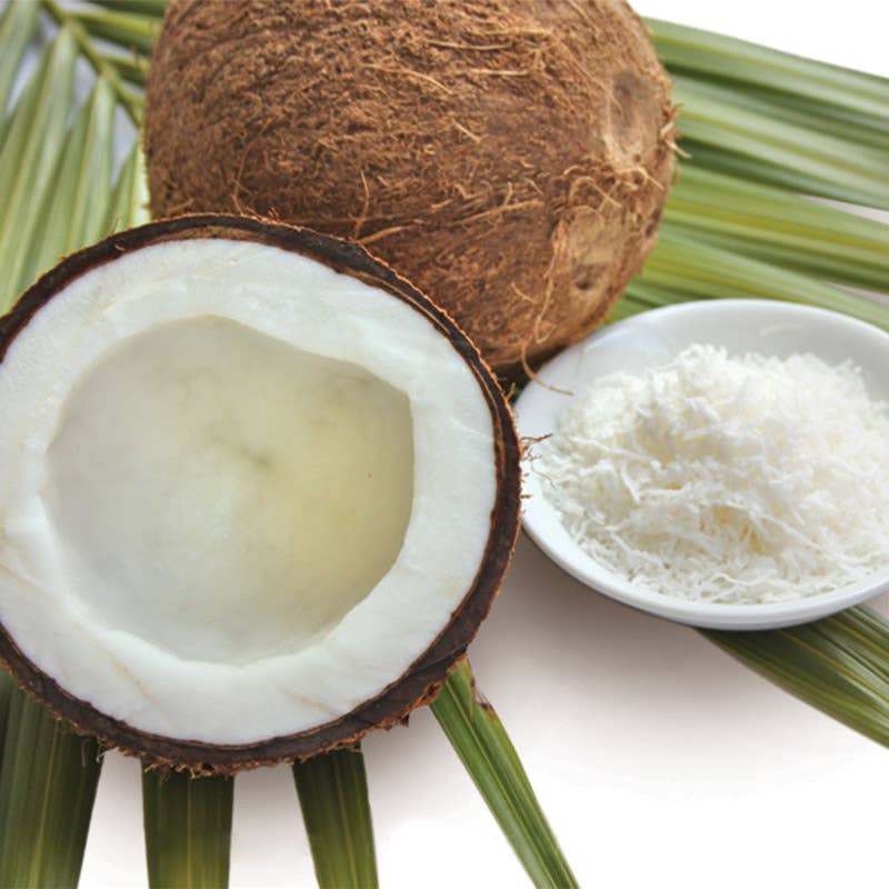 Fractionated Coconut Carrier Oil