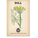 Dill 'Common' Heirloom Seeds for Culinary Gardening, 50 Seeds