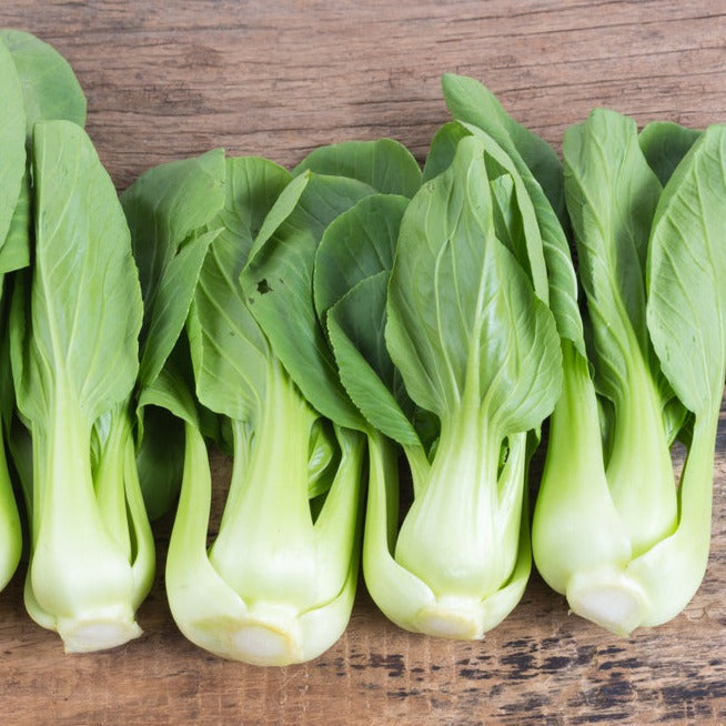 Heirloom Pak Choi Seeds - Fast Growing, Nutritious, Perfect for Stir Fry