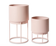 RINGO PLANTER w.STAND SET