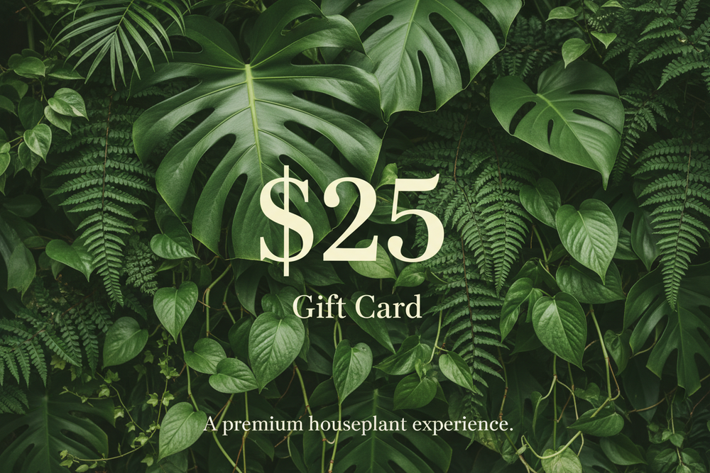 The Houseplant Shop Gift Card