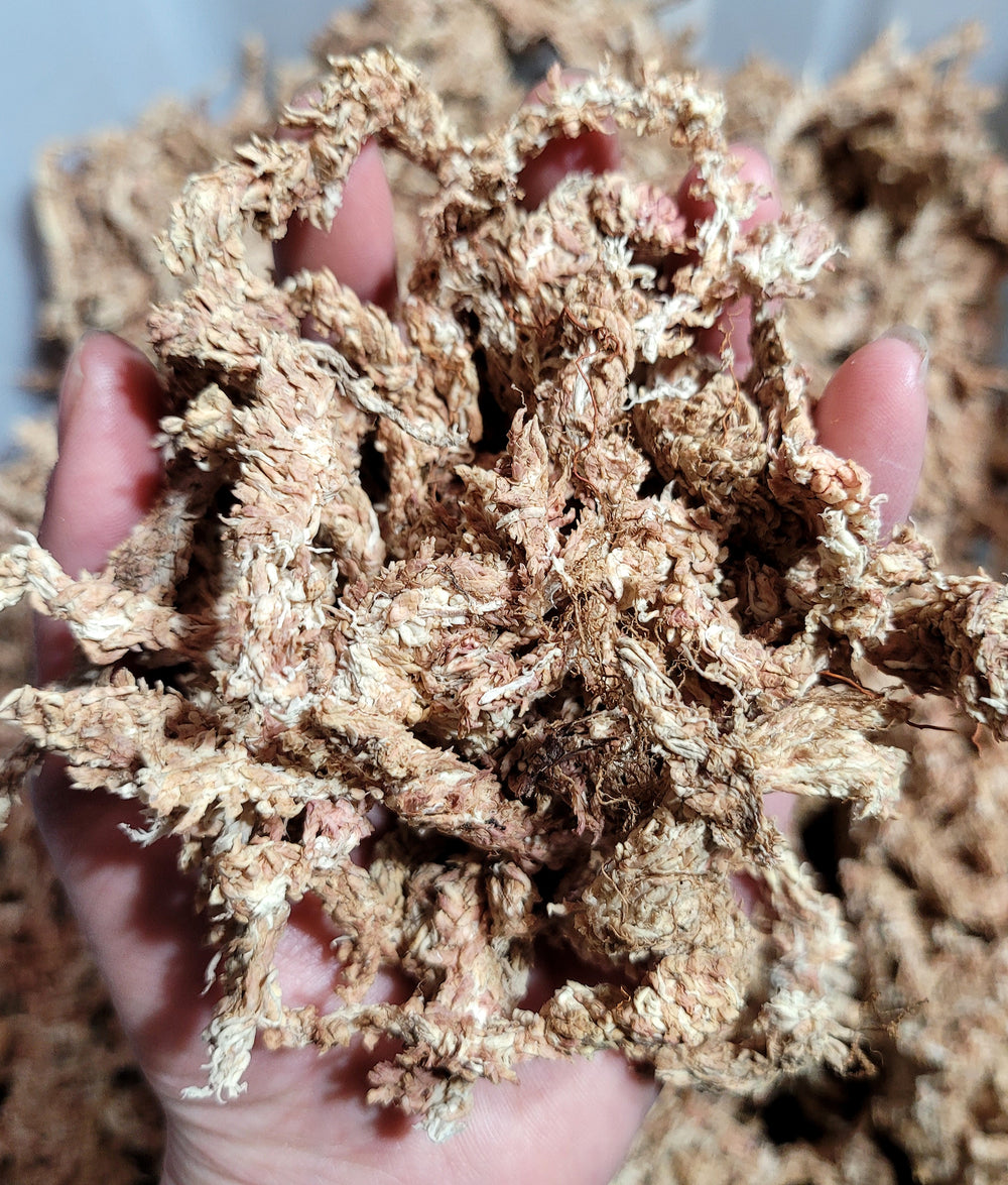 Sphagnum Moss 500g