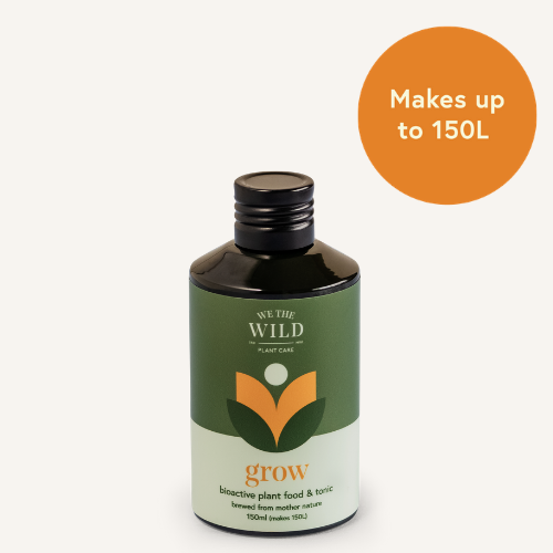 Wild Grow Plant Food Tonic