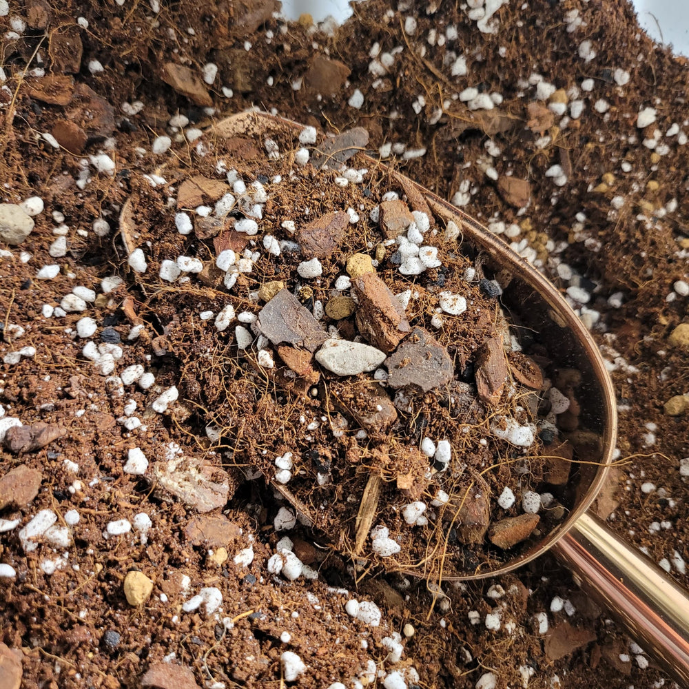 Premium Coco Aroid Mix